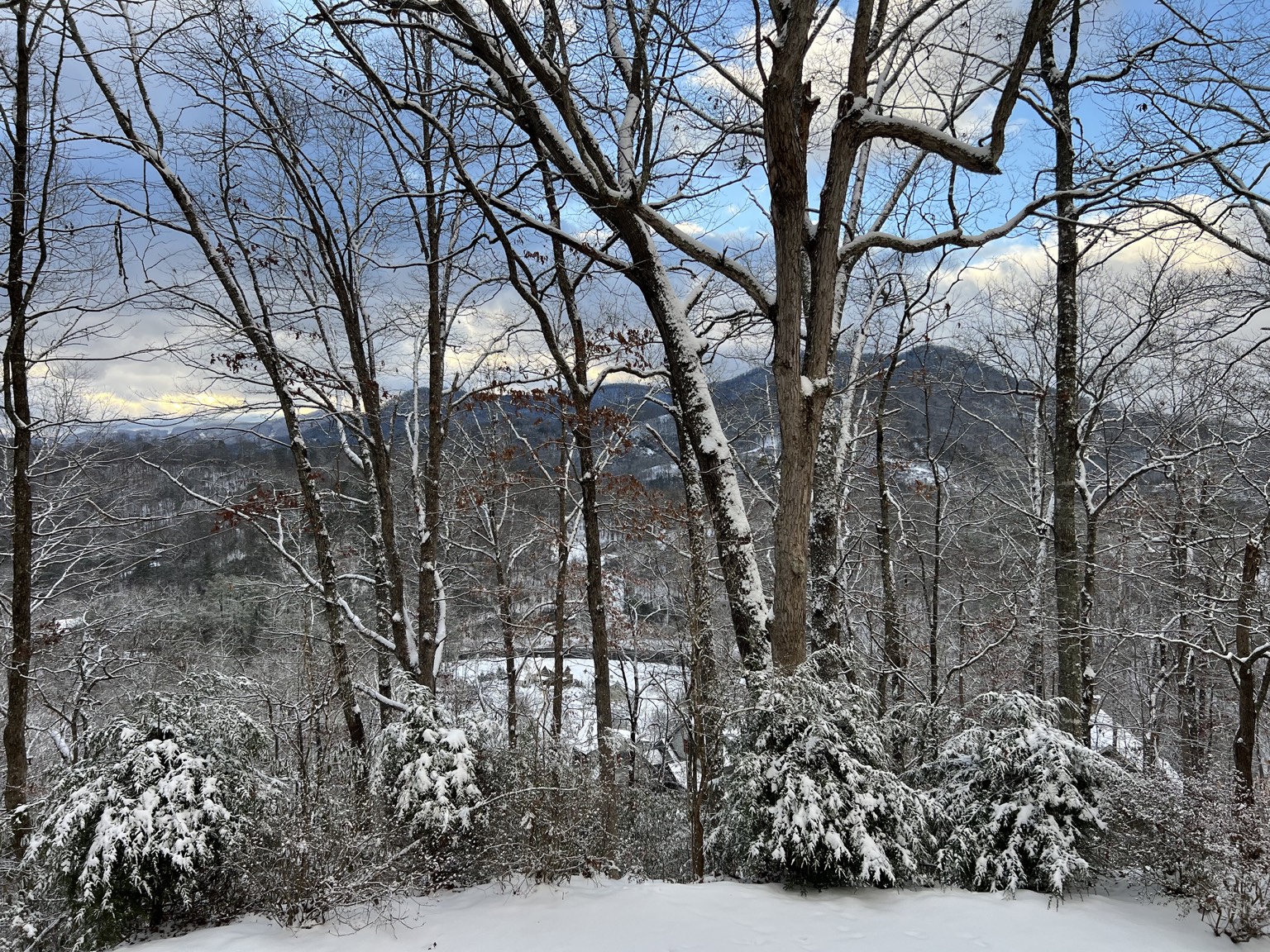 Snow-covered trees framing a winter view across the mountains
