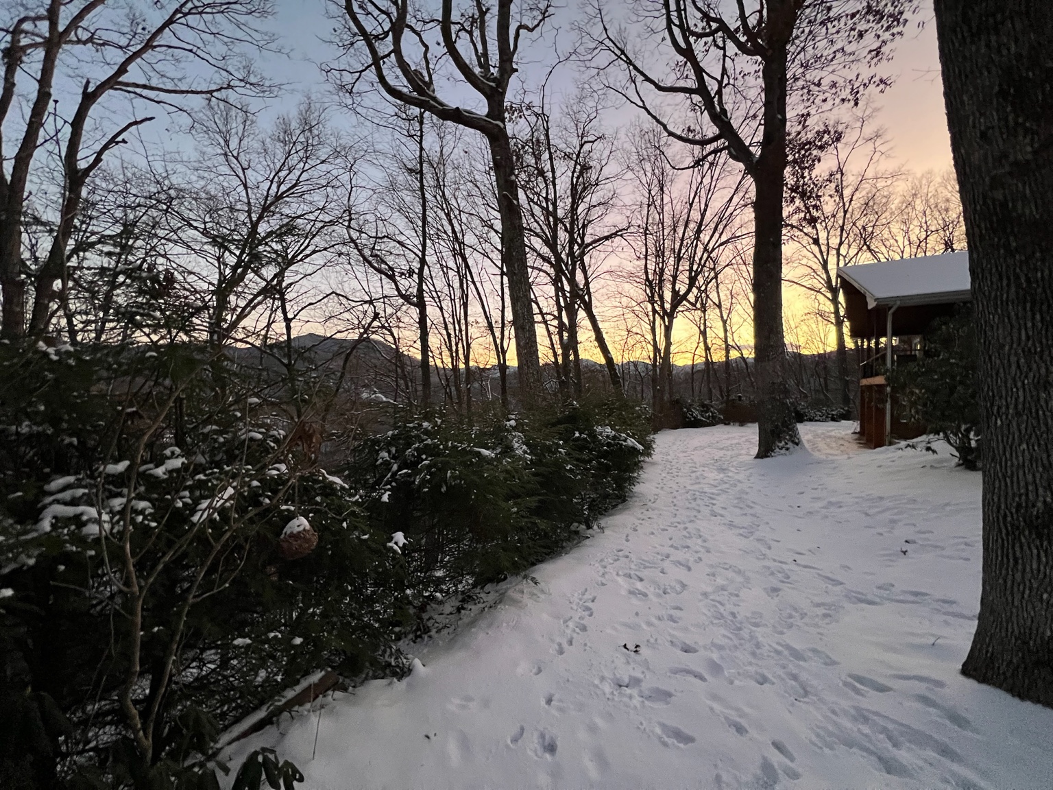 Snow on the garden path at dusk